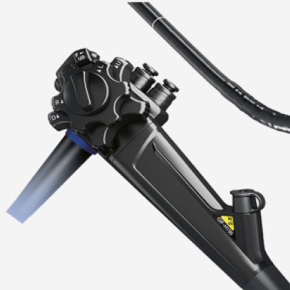 GIF-H290