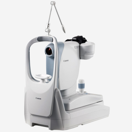 fundus
